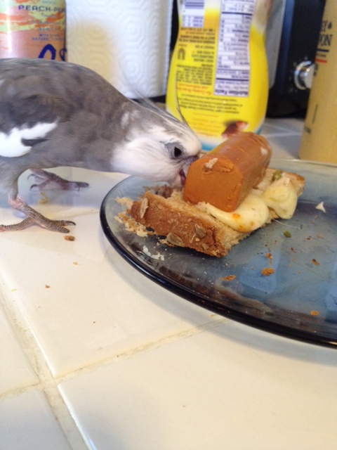 This soft cheesy part is quite tasty too.