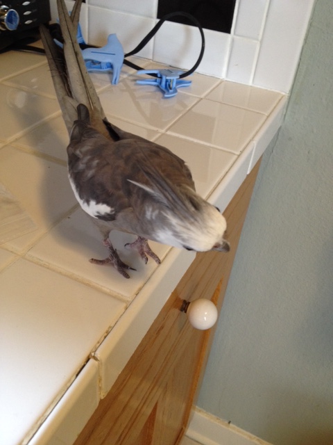 Wait a minute. My sixth sense is picking up a distinct "spy vibe."