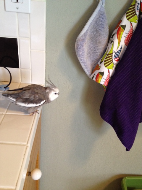 Uh HUH. I KNEW it. You think you can hide but you can't. 