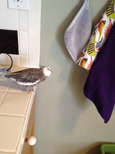 You brought a lot of reinforcements. But it won't help you.