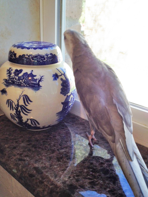 You know, we're even about the same height!