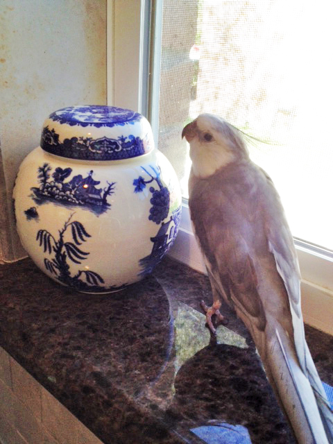 I can just tell we're going to be the bestest friends!