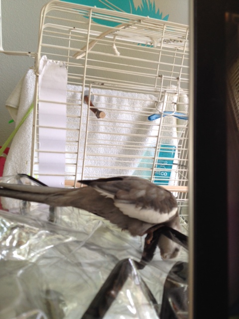 I thought for sure he was hiding it away for himself.