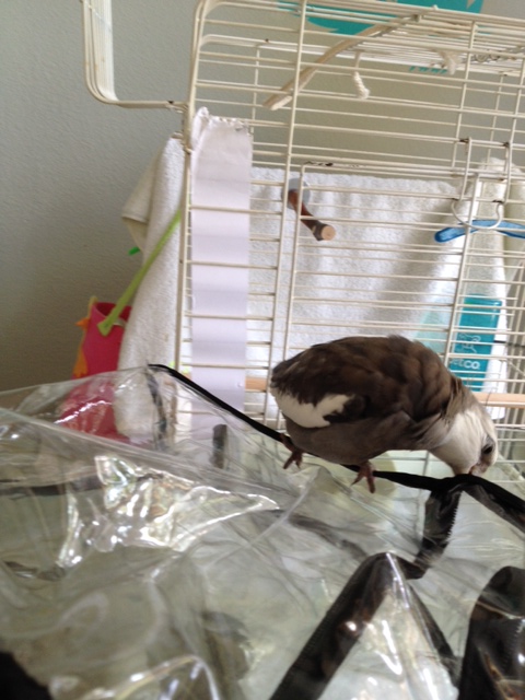 I've looked and looked by I can't find one.