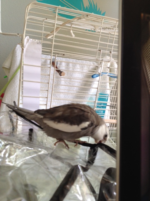 I'm going to keep investigating until I find it.