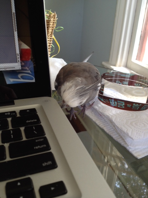 Hmmmm. Well, let's see here....