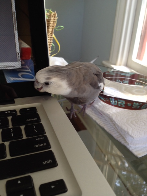 Don't worry, little buddy - we'll get you all fixed up in no time!