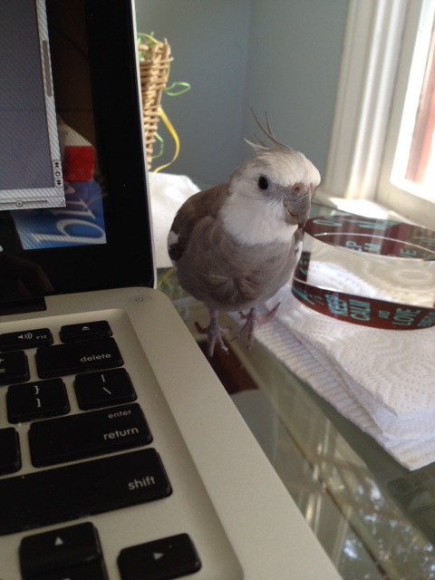 You called and I came, Mom. What seems to be the trouble?