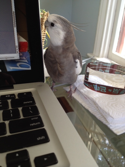 And you're looking very well - just as shiny and reflective as usual.