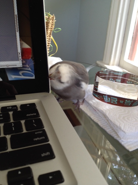 Still as firm and crispy as I remember.