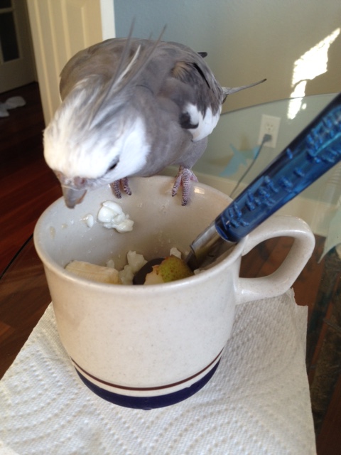 But to be sure I will have to test my theory.