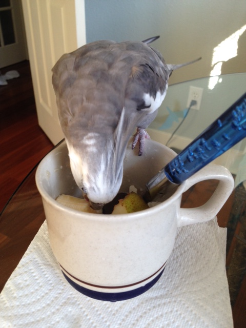 I will just select the first test subject.