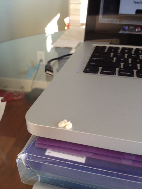 Mom - preliminary tests indicate this new small white material shows much promise.