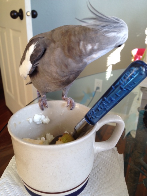 Not bad! Not bad at all.