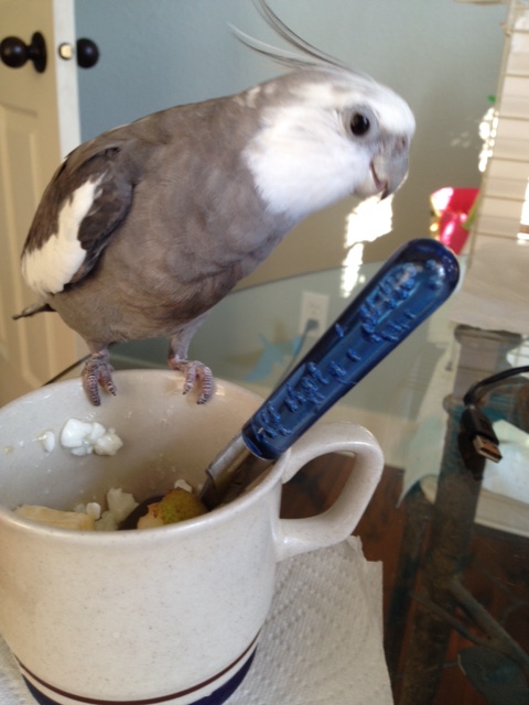 Well this looks quite flingable!