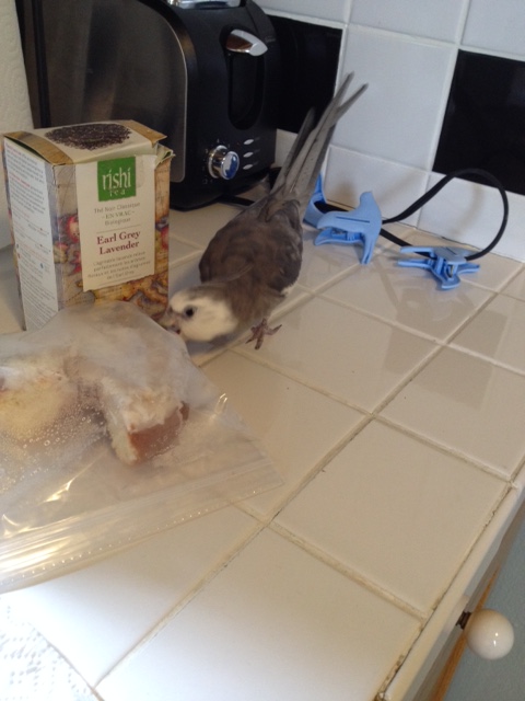 I'll just check and see for myself.