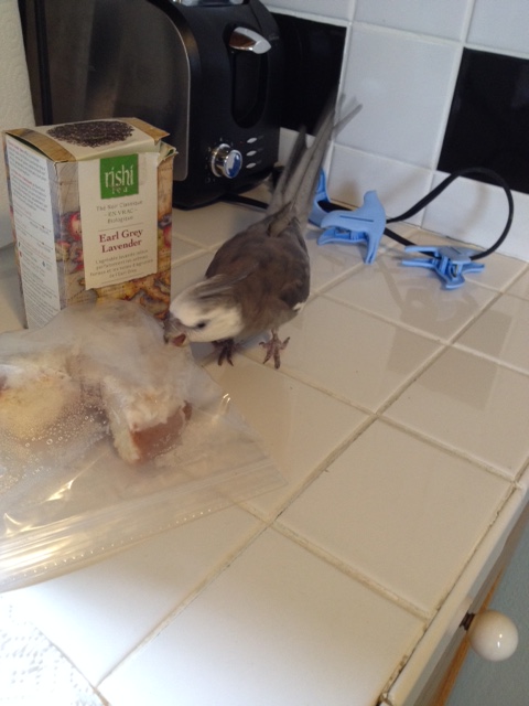 What is this weird white stuff on the top? I can't believe Mom eats this.