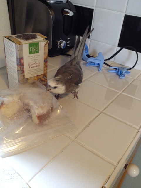 On second thought, I really don't think you are a waffle.