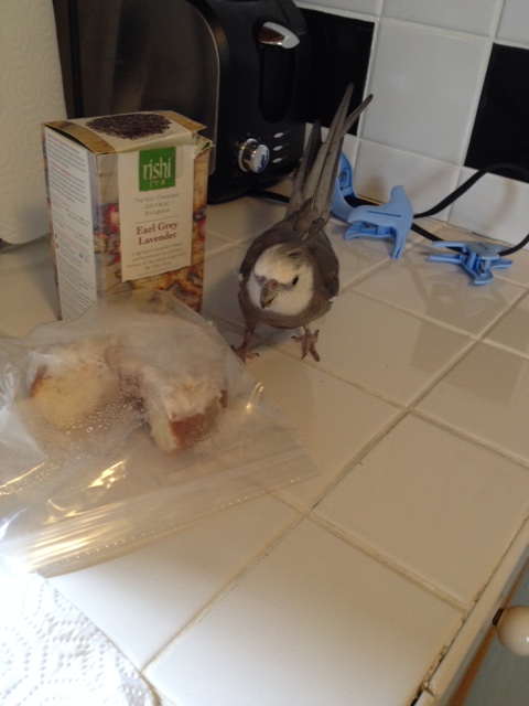 Well hello there. You look like you might be a waffle.