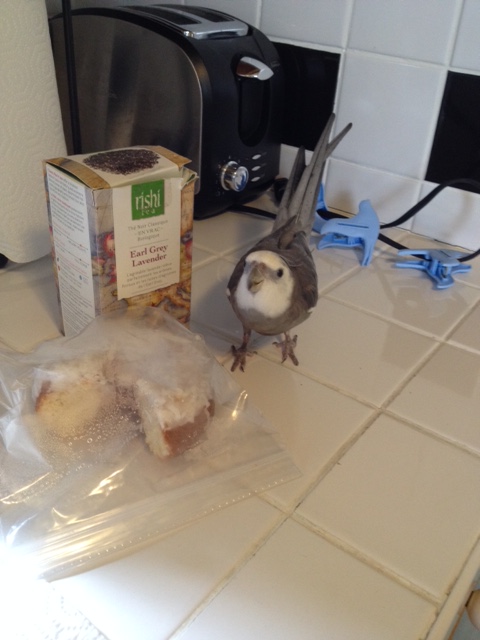 Mom? This dish is not delicious. It isn't very friendly either.