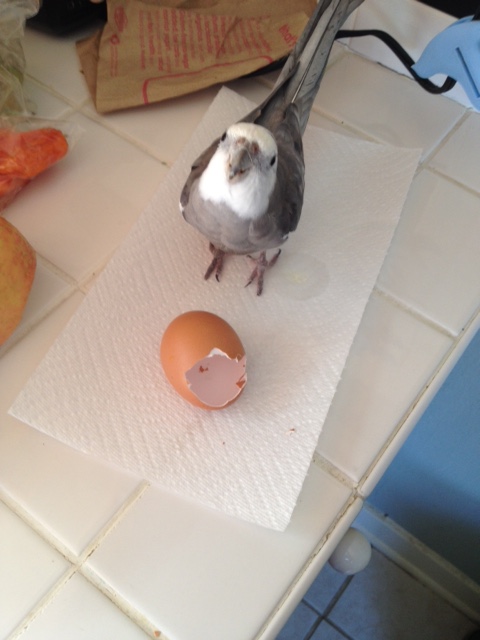 Here, the famous actor sends his large featherless assistant the universal sign for "snack break."