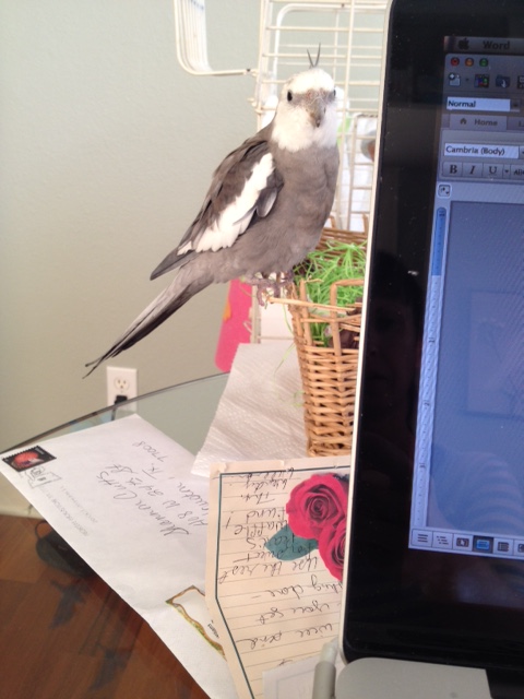 Are you ready, Mom? I've got so many ideas for great photos of me to send to my fan!