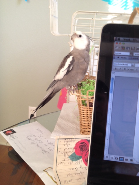 Now let's do one of of "prettiness" featuring me in profile.