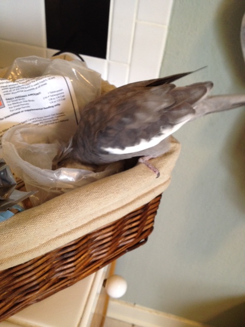 He stays IN for a very long time....