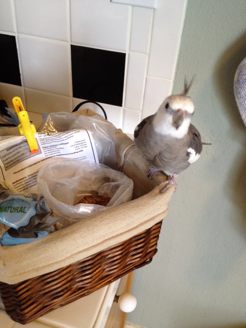 He pauses for just a brief moment more to remember all those who have never tasted a toasted waffle.