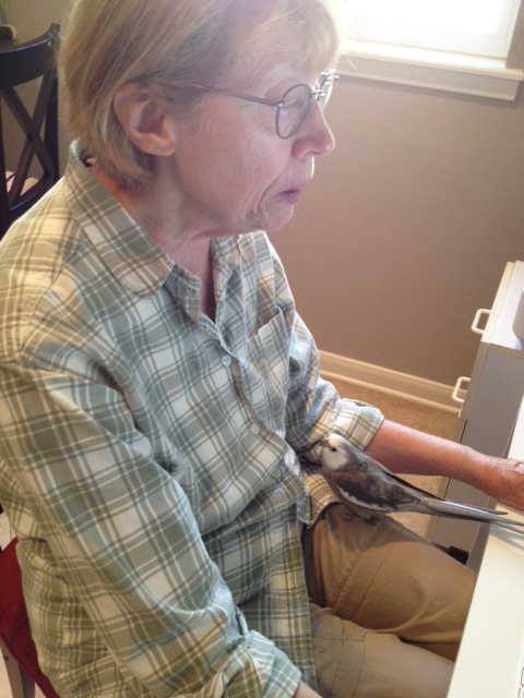 Hi Grandma. You are already high on my list of candidates since we are both small and we both like to eat.