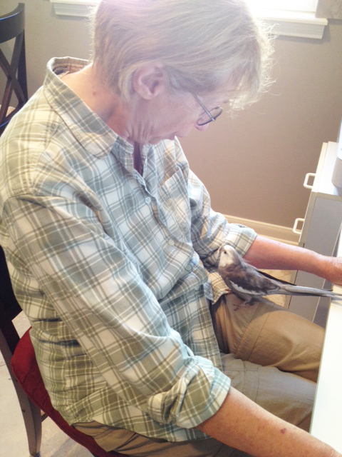 Grandma, I have made my decision. We are going to make a great team!