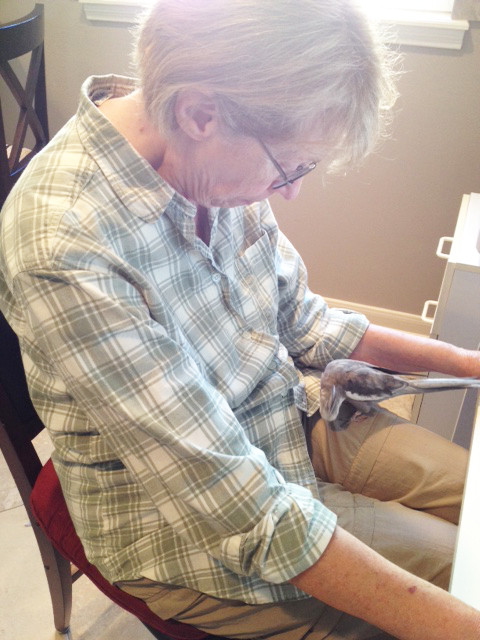 Let me take a moment to reflect on your comments.