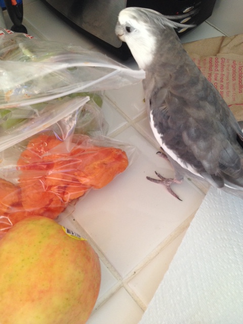 Well this looks.....interesting.