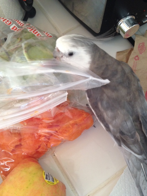 Since her palate isn't as developed as mine, I'll probably just let her have those and I'll take the tastier brown and crinkly bits for myself.