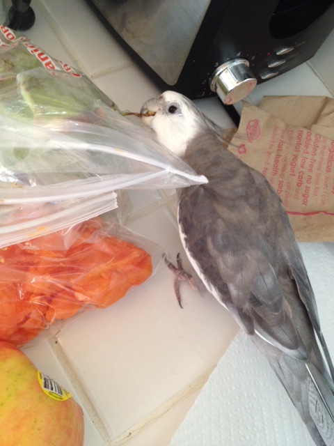 And these heavenly brown strips - they have a soft "woodsy" taste I just love.