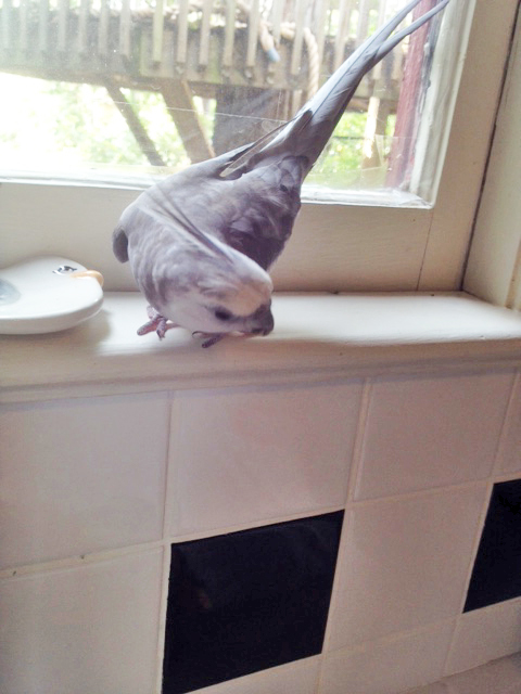 I would know that item anywhere! 