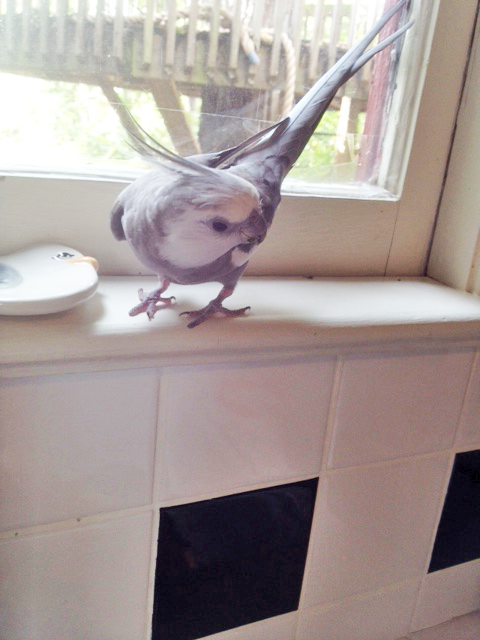 Oh yes - I guessed it! Both delicious and nutritious!