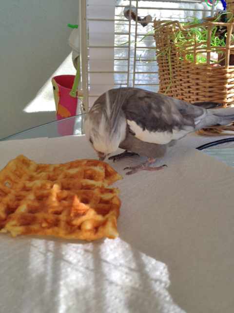 Now you can get into position for the first taste test - the "sideways neck-twist sample."