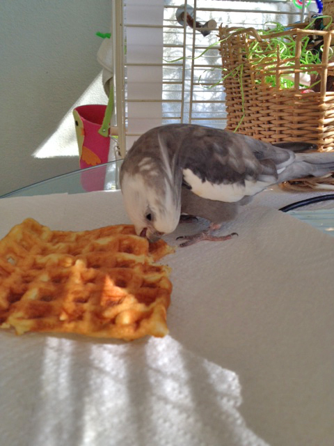 The "sideways neck-twist taste test" allows you to pick up subtle nuances using your peripheral senses.