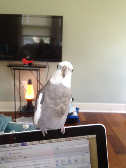 I'm ready, Mom. Are you ready?