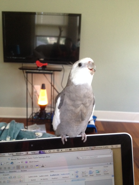 And now get a good shot of one of my other best sides - this will help it sell right away.