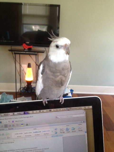 Are you sure? You don't look ready.