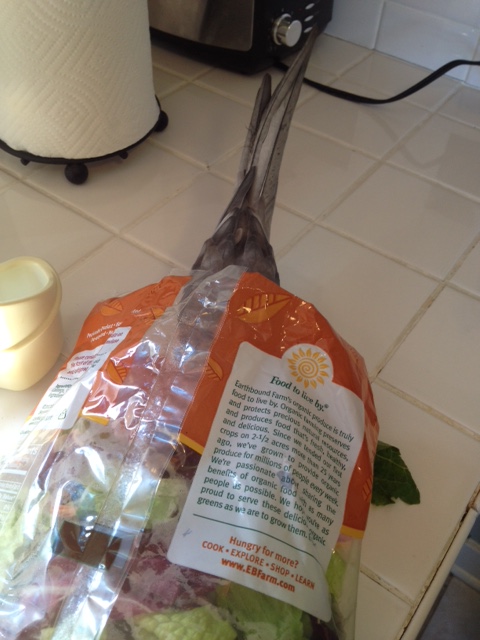 Now let's see what else I might like to enjoy.