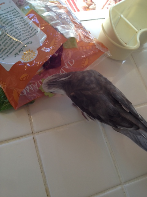 I'll start with this light green thing - fresh and palate-clearing.