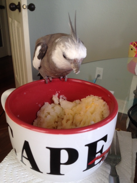 Well look what we have here! Delicious mashed potatoes - all for me!