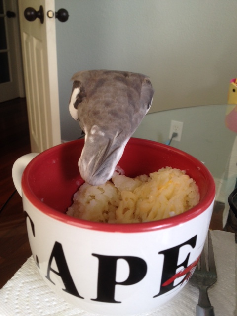 Don't at all mind if I do!