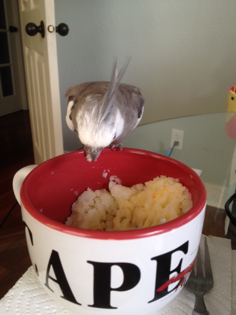 Whoa. I am picking up vibrations of an approaching poacher.