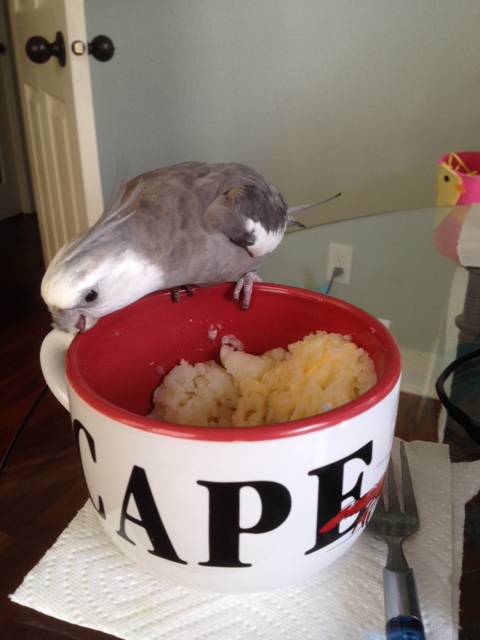 Just as soon as I'm finished. 