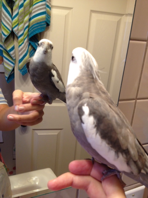 I know. It helps me to hear you say that - I hate to say there is anything I'm not thankful for, but.....