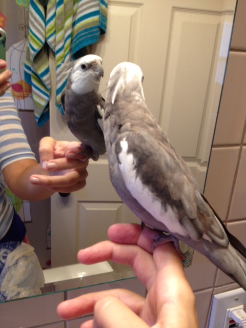 Speaking of which - please join us for Thanksgiving dinner later today! Our chef is the BEST.